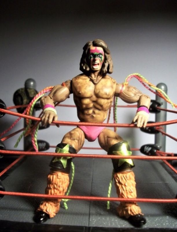 ultimate warrior 3.jpg